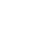 transs-icon